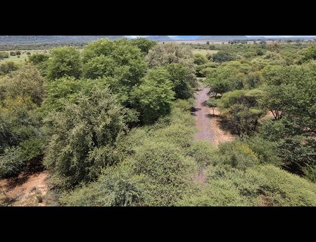 FARM FOR SALE IN THABAZIMBI RURAL